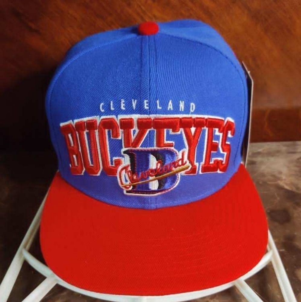 Cleveland buckeyes (negro league)